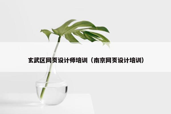 玄武区网页设计师培训（南京网页设计培训）