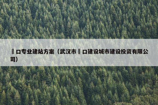 硚口专业建站方案（武汉市硚口建设城市建设投资有限公司）