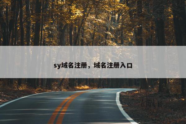 sy域名注册，域名注册入口