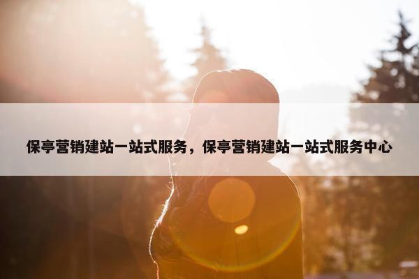 保亭营销建站一站式服务，保亭营销建站一站式服务中心