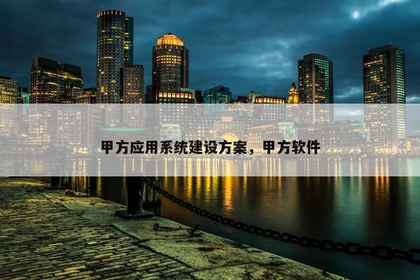 甲方应用系统建设方案，甲方软件