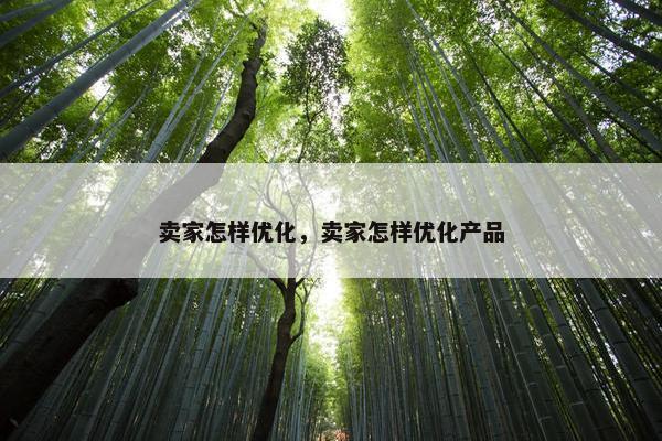 卖家怎样优化，卖家怎样优化产品