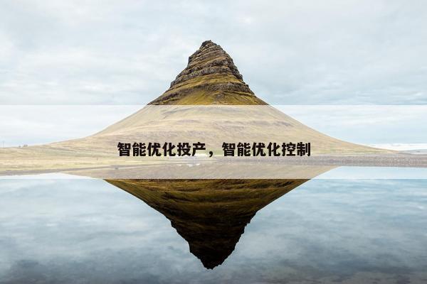 智能优化投产，智能优化控制