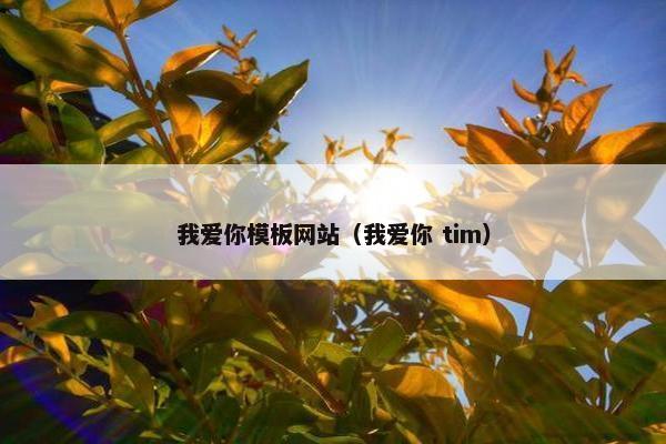 我爱你模板网站（我爱你 tim）
