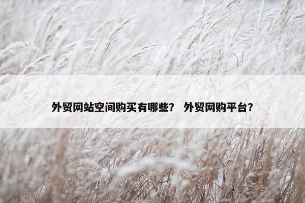外贸网站空间购买有哪些？ 外贸网购平台？