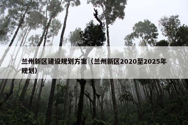 兰州新区建设规划方案（兰州新区2020至2025年规划）