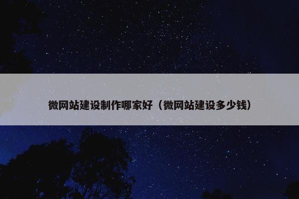 微网站建设制作哪家好（微网站建设多少钱）