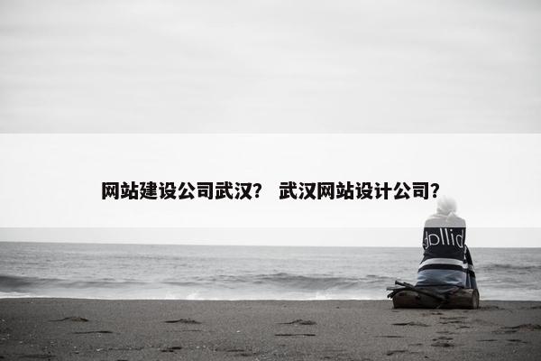 网站建设公司武汉？ 武汉网站设计公司？