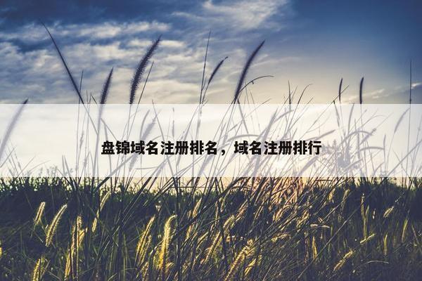 盘锦域名注册排名，域名注册排行