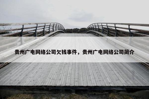 贵州广电网络公司欠钱事件，贵州广电网络公司简介