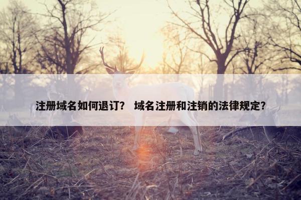 注册域名如何退订？ 域名注册和注销的法律规定？