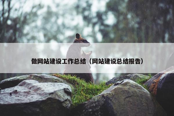 做网站建设工作总结（网站建设总结报告）