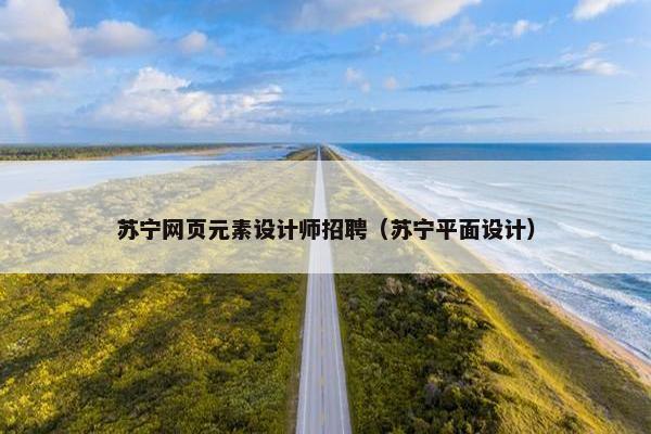 苏宁网页元素设计师招聘（苏宁平面设计）