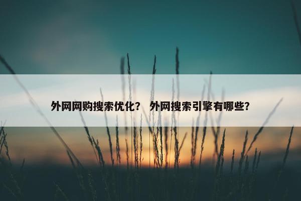 外网网购搜索优化？ 外网搜索引擎有哪些？