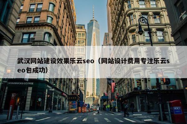 武汉网站建设效果乐云seo（网站设计费用专注乐云seo包成功）