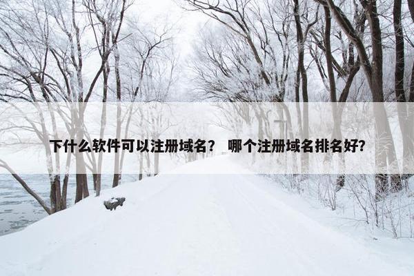 下什么软件可以注册域名？ 哪个注册域名排名好？