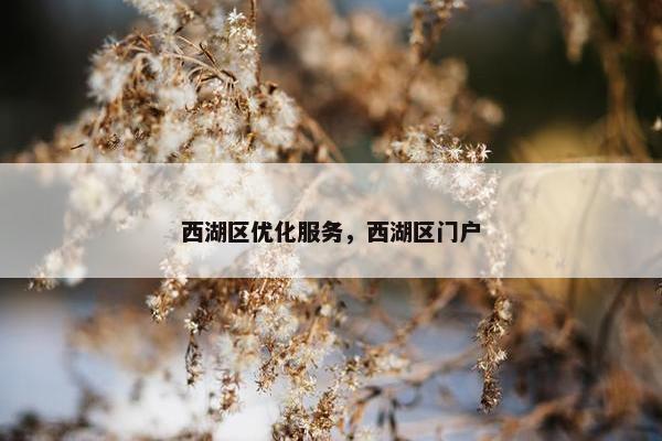 西湖区优化服务，西湖区门户