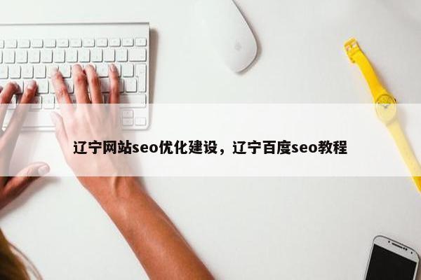 辽宁网站seo优化建设，辽宁百度seo教程