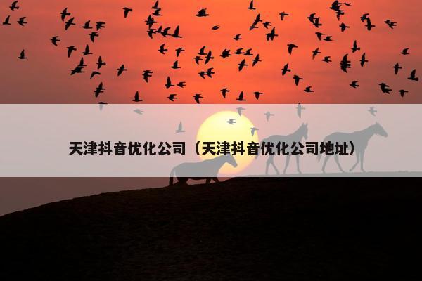 天津抖音优化公司（天津抖音优化公司地址）