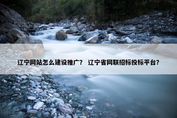 辽宁网站怎么建设推广？ 辽宁省网联招标投标平台？