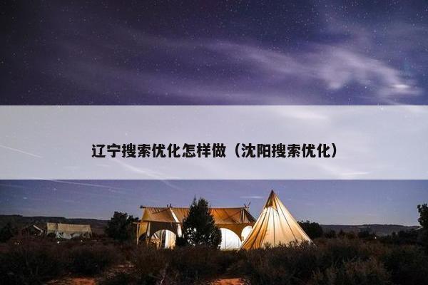 辽宁搜索优化怎样做（沈阳搜索优化）