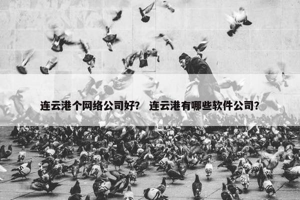 连云港个网络公司好？ 连云港有哪些软件公司？