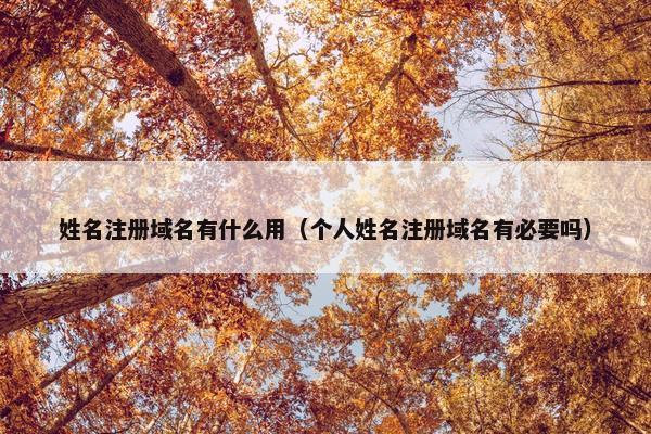 姓名注册域名有什么用（个人姓名注册域名有必要吗）