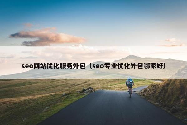 seo网站优化服务外包（seo专业优化外包哪家好）