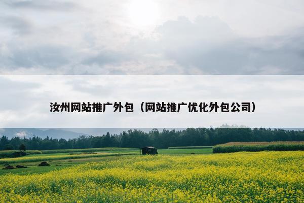 汝州网站推广外包（网站推广优化外包公司）