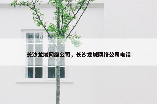 长沙龙域网络公司，长沙龙域网络公司电话