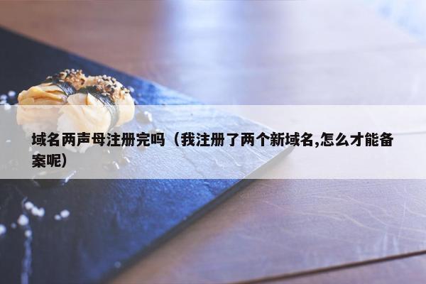 域名两声母注册完吗（我注册了两个新域名,怎么才能备案呢）