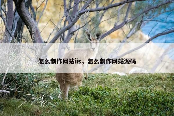 怎么制作网站iis，怎么制作网站源码