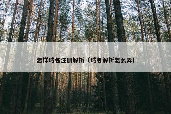 怎样域名注册解析（域名解析怎么弄）