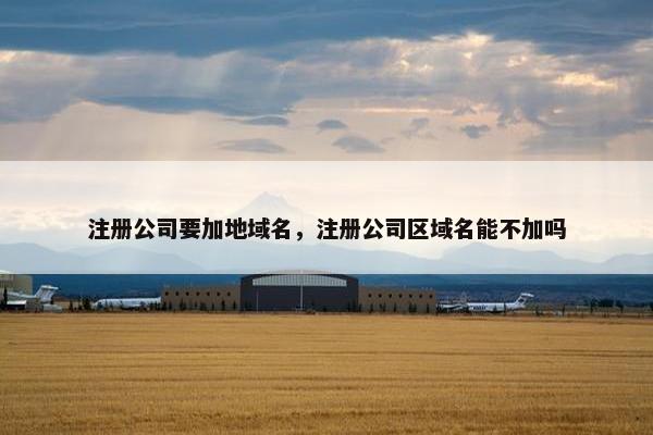 注册公司要加地域名，注册公司区域名能不加吗