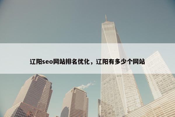 辽阳seo网站排名优化，辽阳有多少个网站