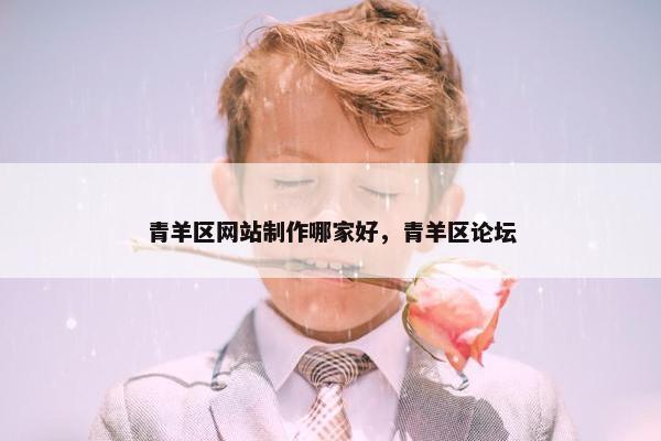青羊区网站制作哪家好，青羊区论坛