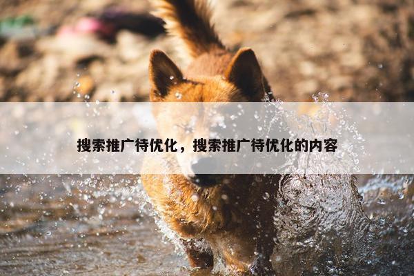 搜索推广待优化，搜索推广待优化的内容