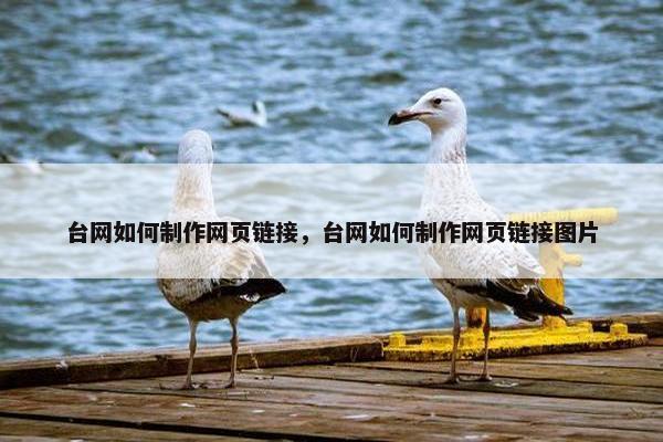 台网如何制作网页链接，台网如何制作网页链接图片