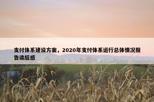 支付体系建设方案，2020年支付体系运行总体情况报告读后感