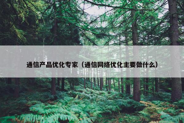 通信产品优化专家（通信网络优化主要做什么）