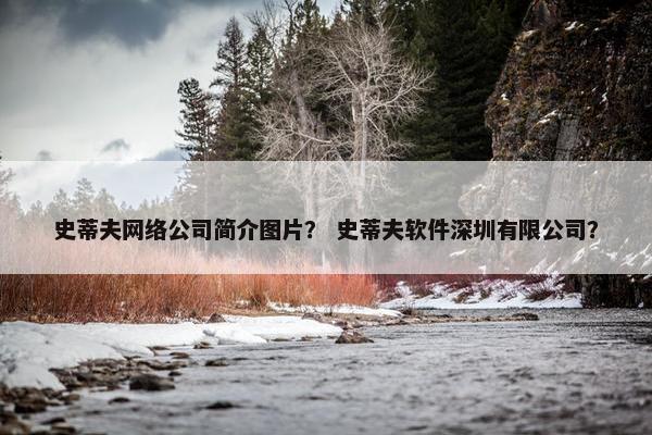 史蒂夫网络公司简介图片？ 史蒂夫软件深圳有限公司？