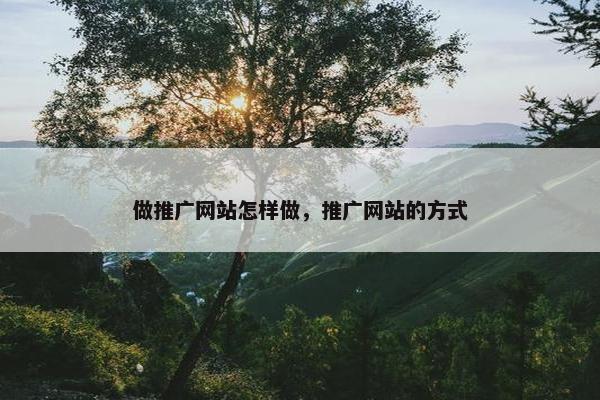 做推广网站怎样做，推广网站的方式