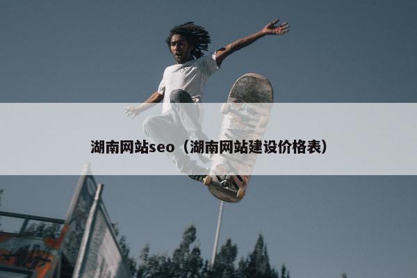 湖南网站seo（湖南网站建设价格表）