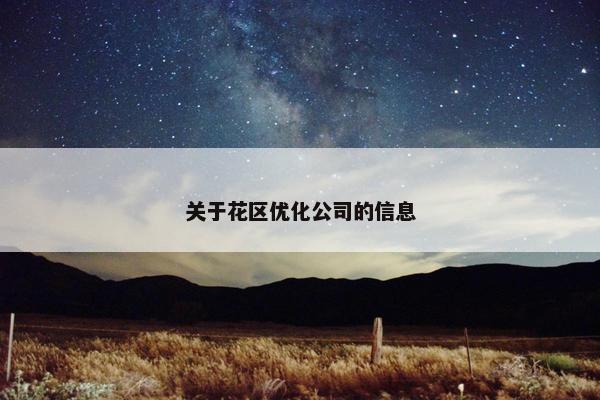 关于花区优化公司的信息