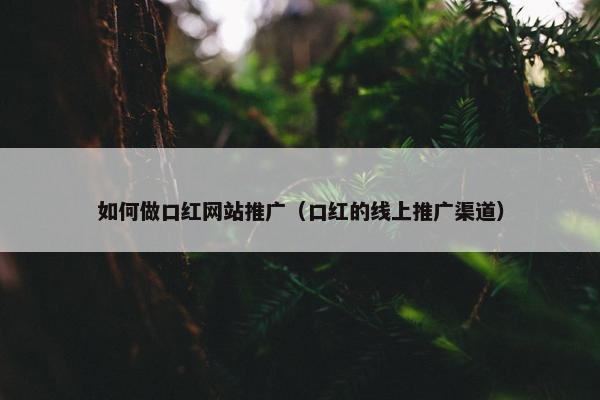 如何做口红网站推广（口红的线上推广渠道）