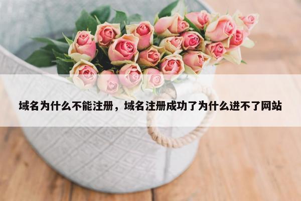 域名为什么不能注册，域名注册成功了为什么进不了网站