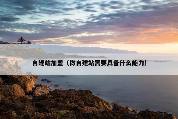 自建站加盟（做自建站需要具备什么能力）