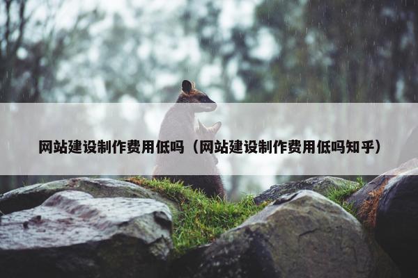 网站建设制作费用低吗（网站建设制作费用低吗知乎）