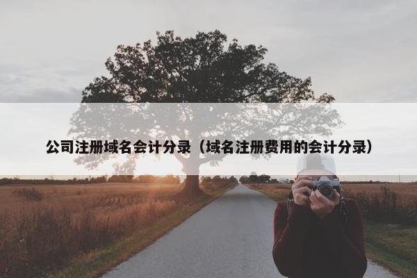公司注册域名会计分录（域名注册费用的会计分录）