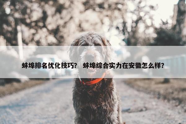 蚌埠排名优化技巧？ 蚌埠综合实力在安徽怎么样？